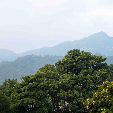 The Fern Surya Resort Kasauli Hills, Dharampur Bagian luar foto